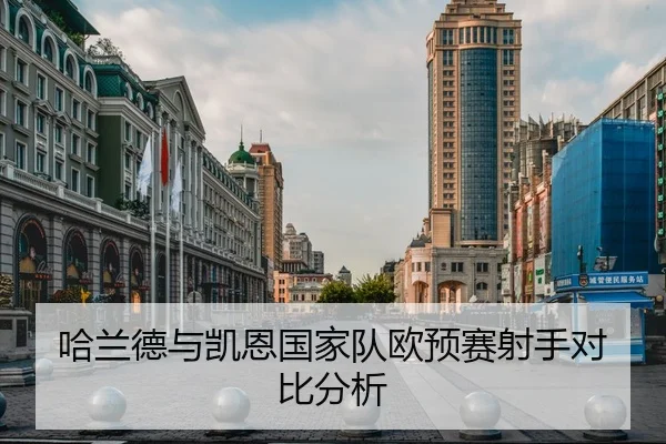 哈兰德与凯恩国家队欧预赛射手对比分析